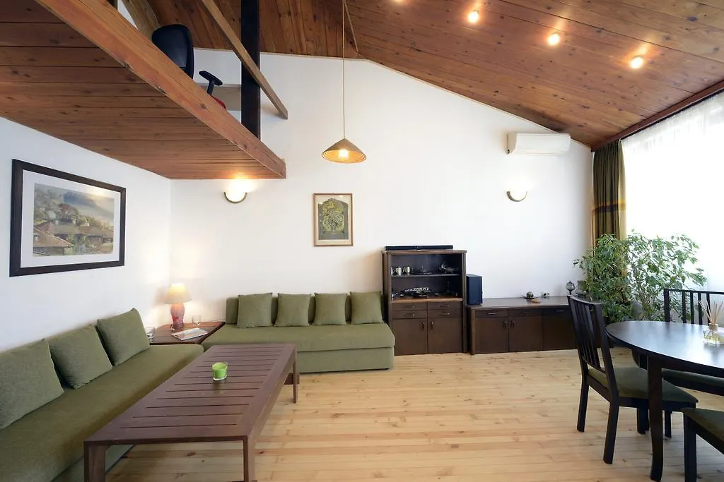 Artistic Penthouse Apartment Sofia
